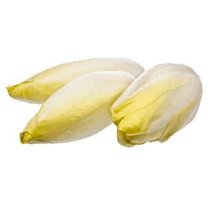 Endivias