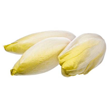 Endivias-0007699_450