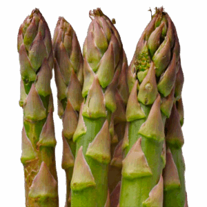 Espárragos Trigueros (gruesos)