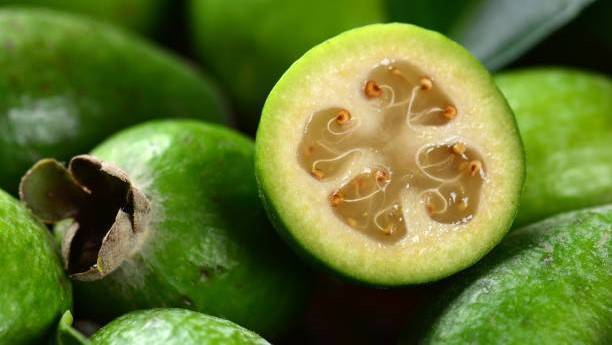 Feijoa-2