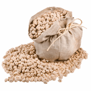 Garbanzo Lechoso