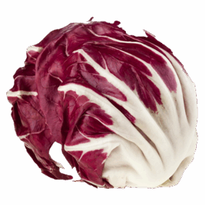 Lechuga Achicoria (Radicchio)