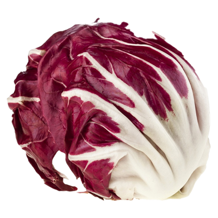 Lechuga-Achicoria-(-Radicchio-)-0007713_450