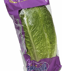 Lechuga Romana Bolsa