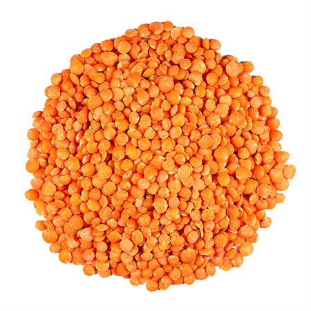 Lenteja-Roja-2-0010422_450