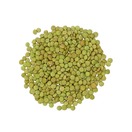 Lenteja-Verde-Stone-4-0010423_450