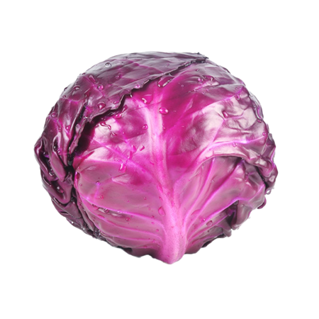 Lombarda-6-0008772_450