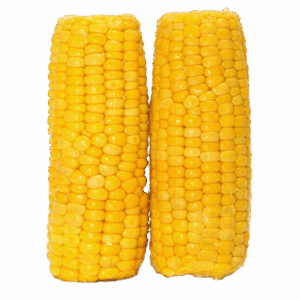 Maiz cocido