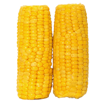 Maiz-cocido-0007566_450