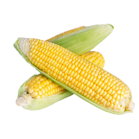 Maiz-fresco-0007568_450