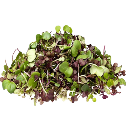 Micromezclum-100-gr-3-0009628_450