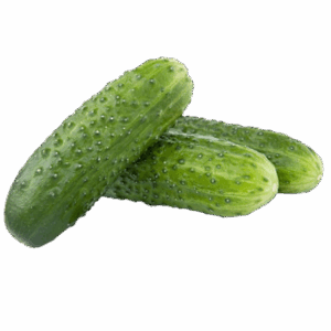 Pepinos Frescos