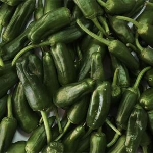 Pimiento de padrón Gallego