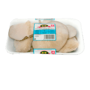 Setas Cultivadas Bandeja