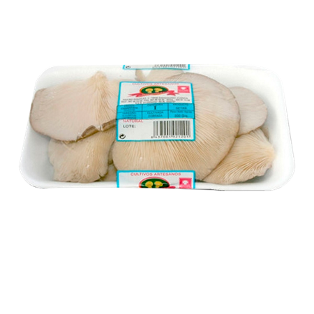 Setas-Cultivadas-Bandeja-4-0009885_450
