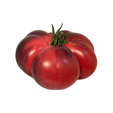 Tomate-Mar-Azul-1-0009014_450