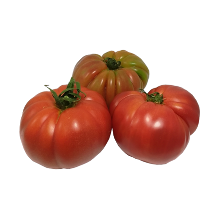 Tomate-Rosa-3-0009433_450