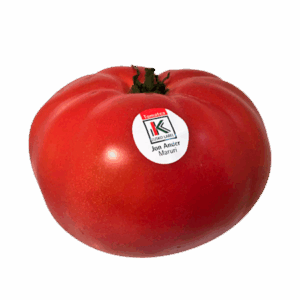 Tomate Vizcaíno
