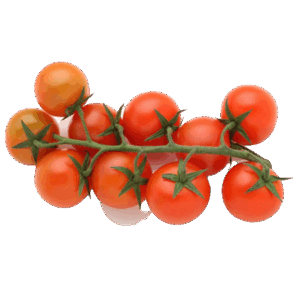 Tomate Cherry Rama 'Extra Dulce'