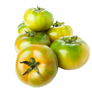 Tomate Ensalada Gordo