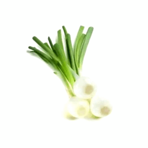 Cebolletas Blancas Manojo